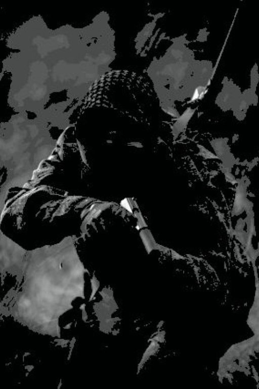 stealth-lowpixel-20250821183236-1200x800